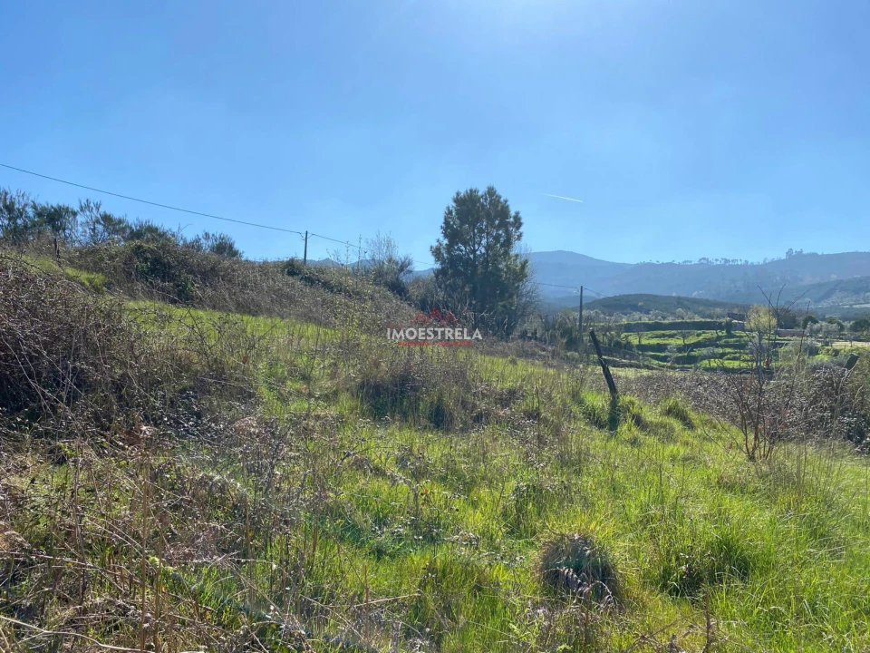 Terreno para Venda em Santa Marinha e São Martinho Foto 6