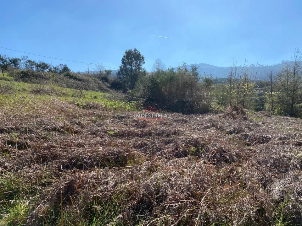Terreno para Venda em Santa Marinha e São Martinho Foto 12