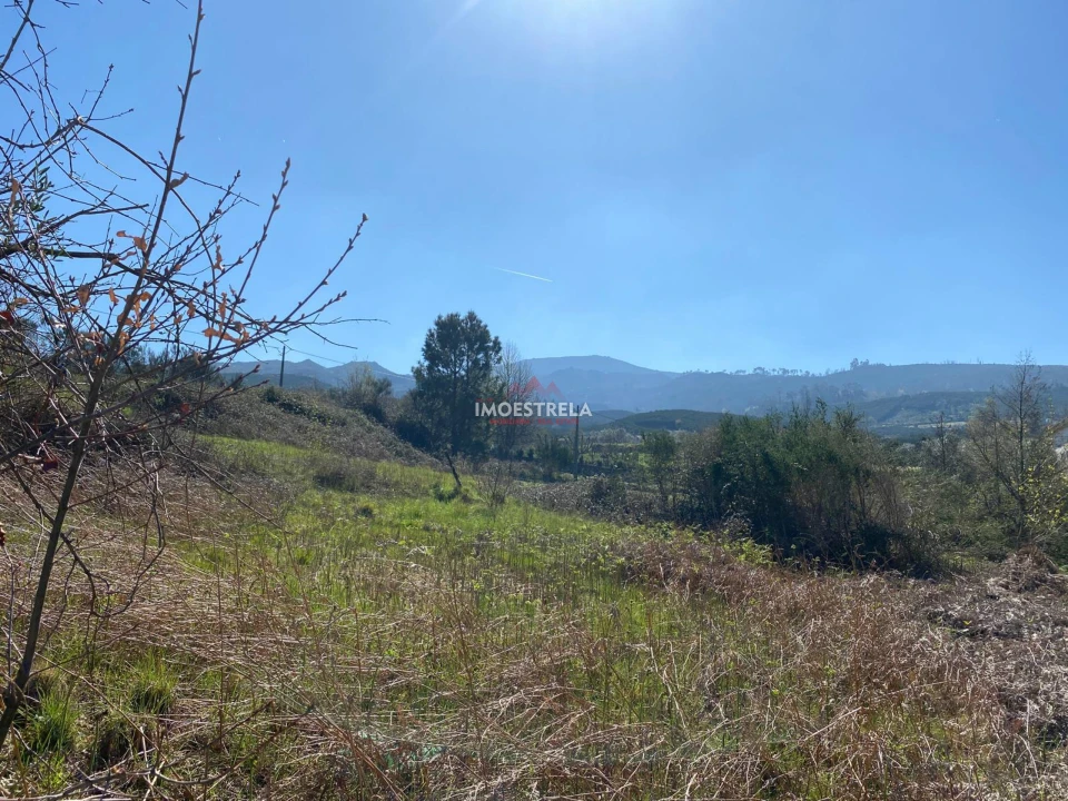 Terreno para Venda em Santa Marinha e São Martinho Foto 5