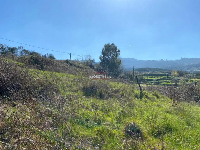 Terreno para Venda em Santa Marinha e São Martinho Foto 6