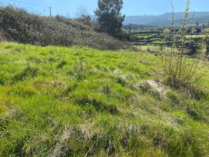 Terreno para Venda em Santa Marinha e São Martinho Foto 7