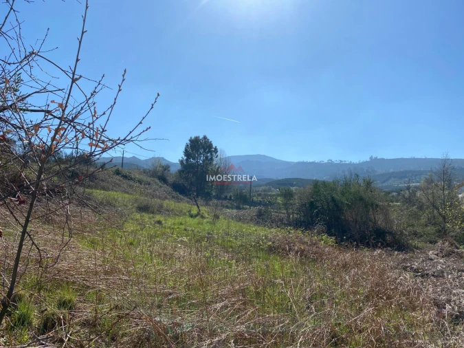 Terreno para Venda em Santa Marinha e São Martinho Foto 5