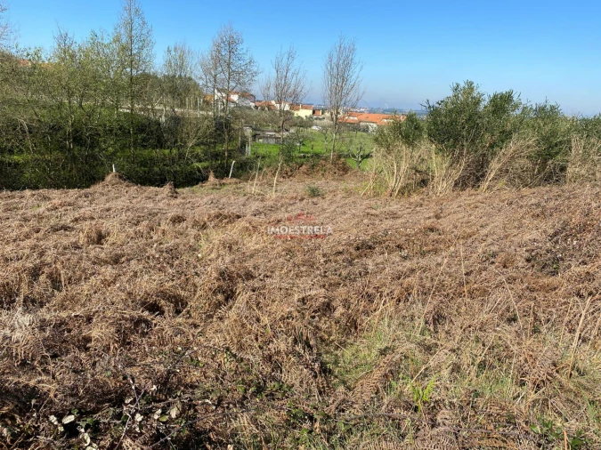 Terreno para Venda em Santa Marinha e São Martinho Foto 4