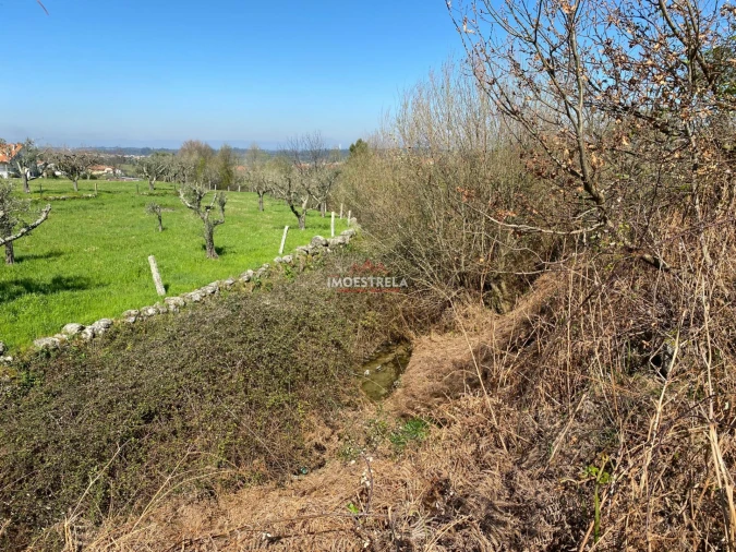 Terreno para Venda em Santa Marinha e São Martinho Foto 2