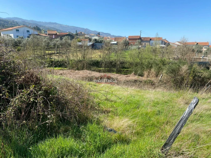 Terreno para Venda em Santa Marinha e São Martinho Foto 8