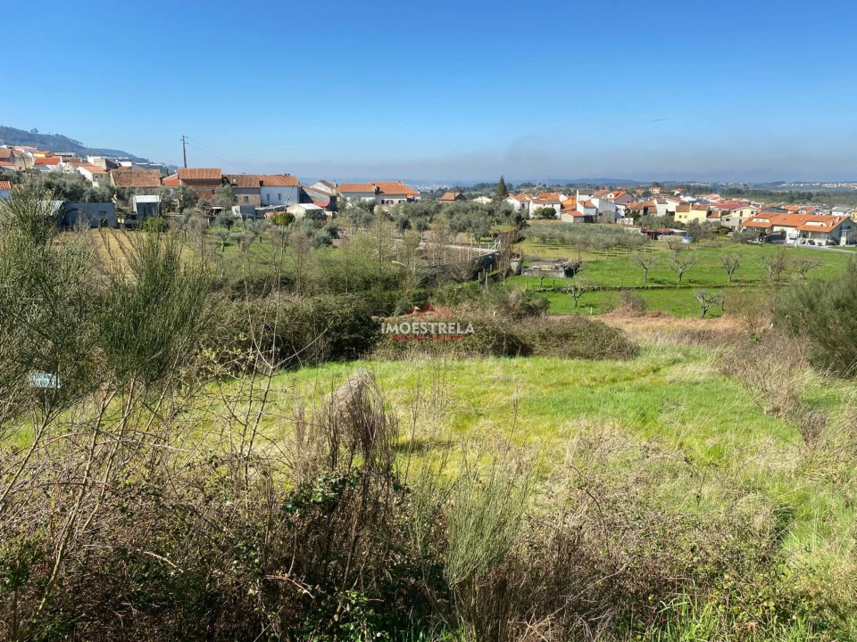 Terreno para Venda em Santa Marinha e São Martinho Foto 11