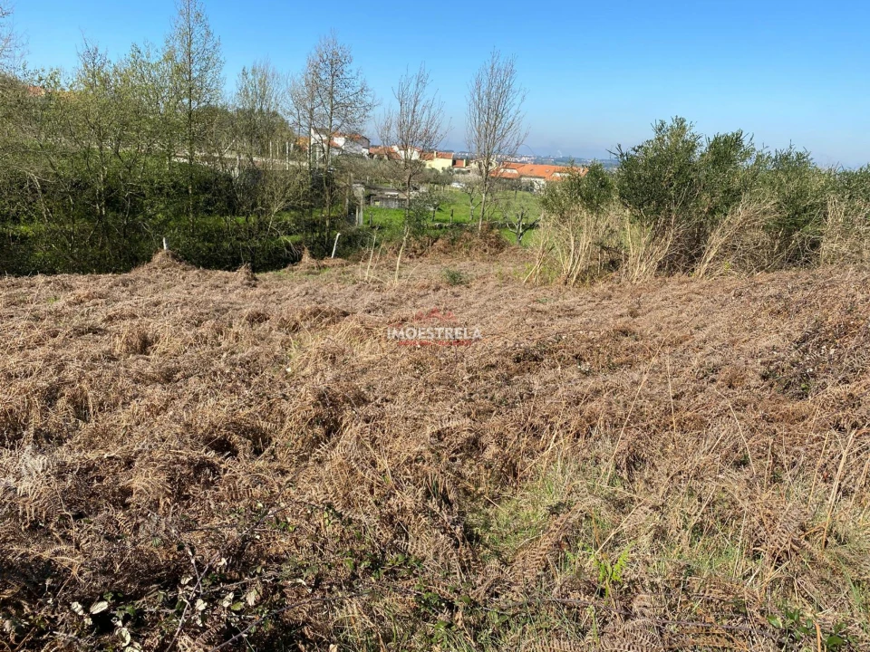 Terreno para Venda em Santa Marinha e São Martinho Foto 4
