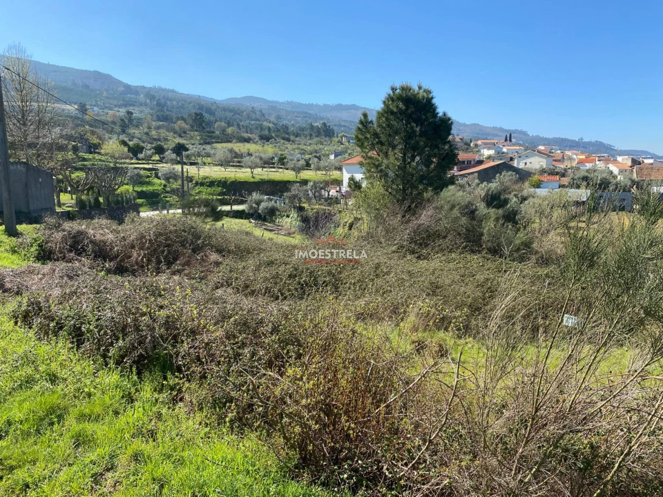 Terreno para Venda em Santa Marinha e São Martinho Foto 10