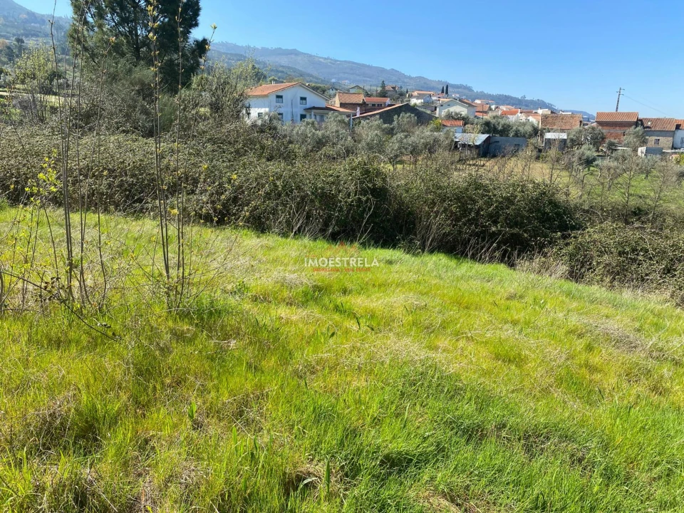 Terreno para Venda em Santa Marinha e São Martinho Foto 9