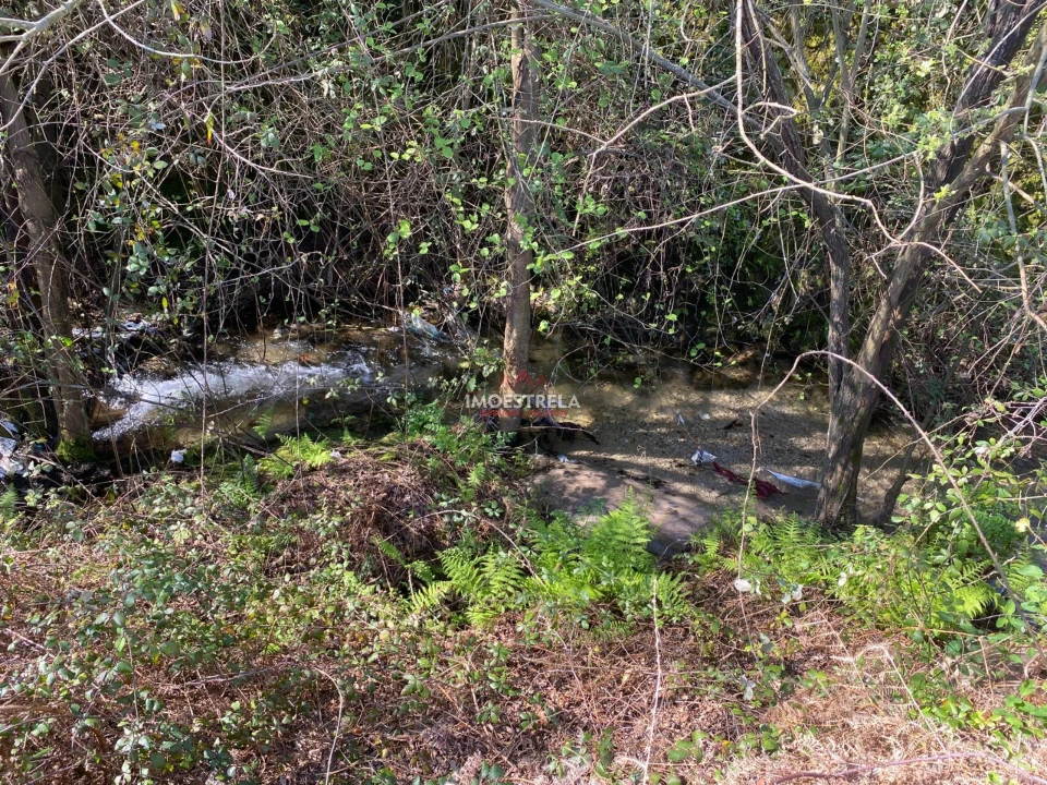 Terreno para Venda em Santa Marinha e São Martinho Foto 1