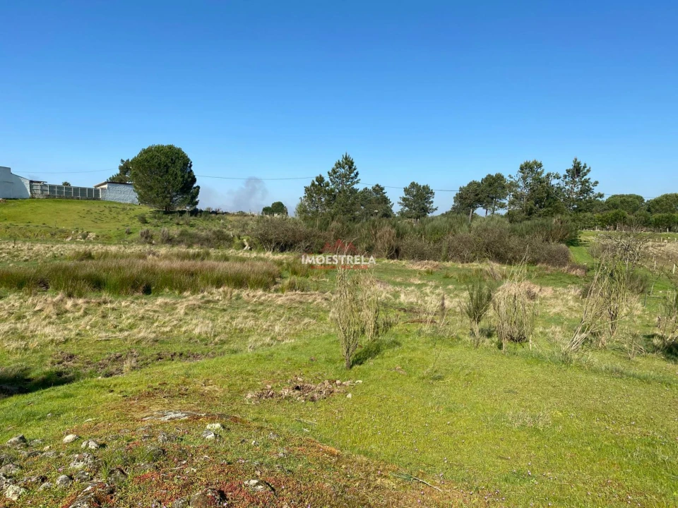 Terreno para Venda em Santa Marinha e São Martinho Foto 5