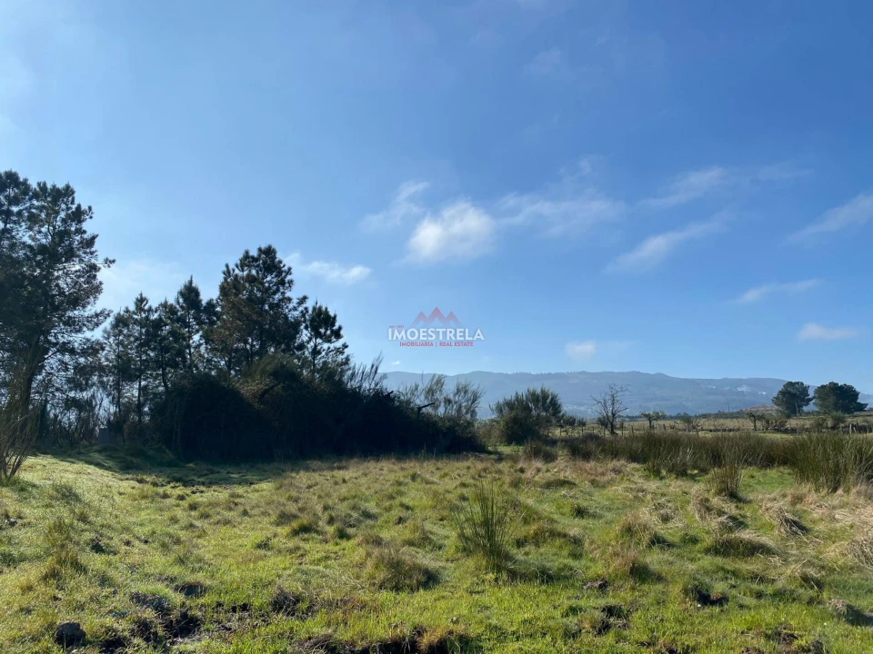 Terreno para Venda em Santa Marinha e São Martinho Foto 2