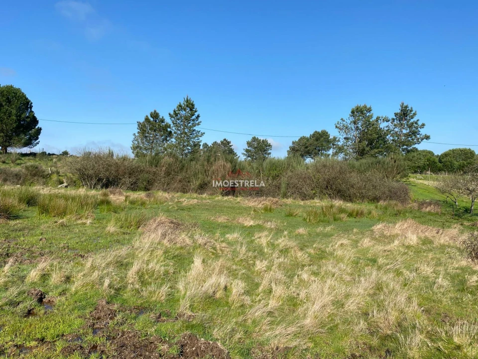 Terreno para Venda em Santa Marinha e São Martinho Foto 3