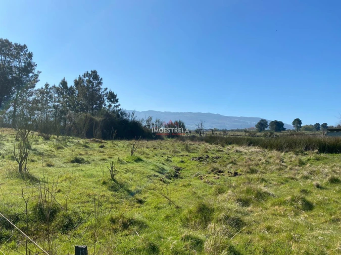 Terreno para Venda em Santa Marinha e São Martinho Foto 8