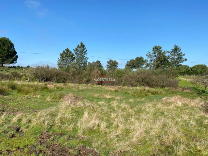 Terreno para Venda em Santa Marinha e São Martinho Foto 3