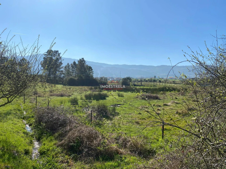 Terreno para Venda em Santa Marinha e São Martinho Foto 9