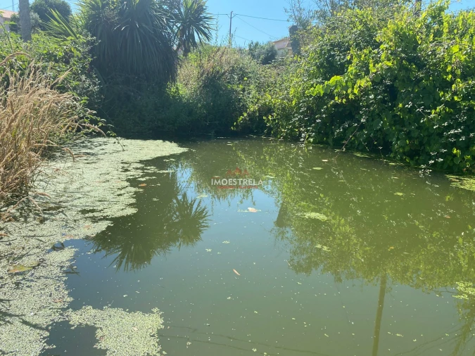 Moradia T4 para Venda em Tourais e Lajes Foto 2