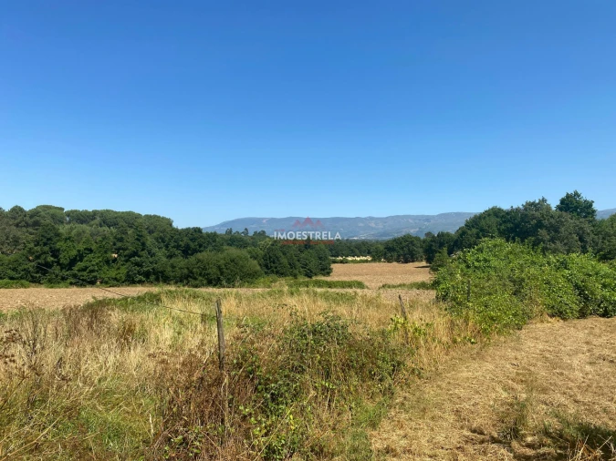 Moradia T4 para Venda em Tourais e Lajes Foto 14