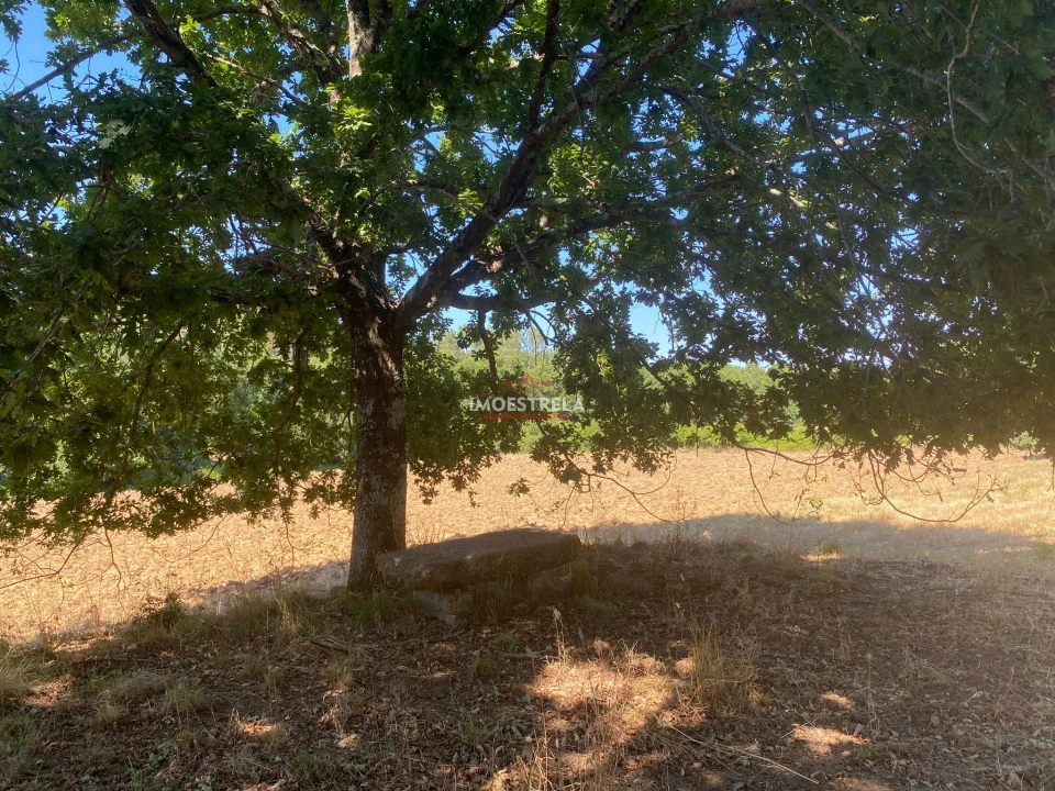 Moradia T4 para Venda em Tourais e Lajes Foto 3