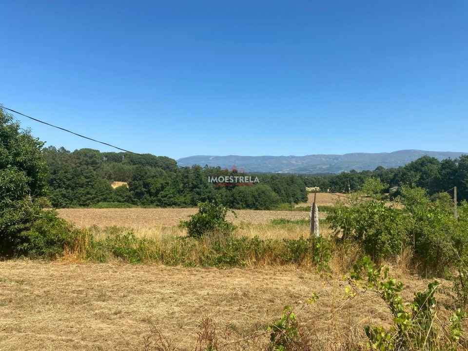 Moradia T4 para Venda em Tourais e Lajes Foto 4