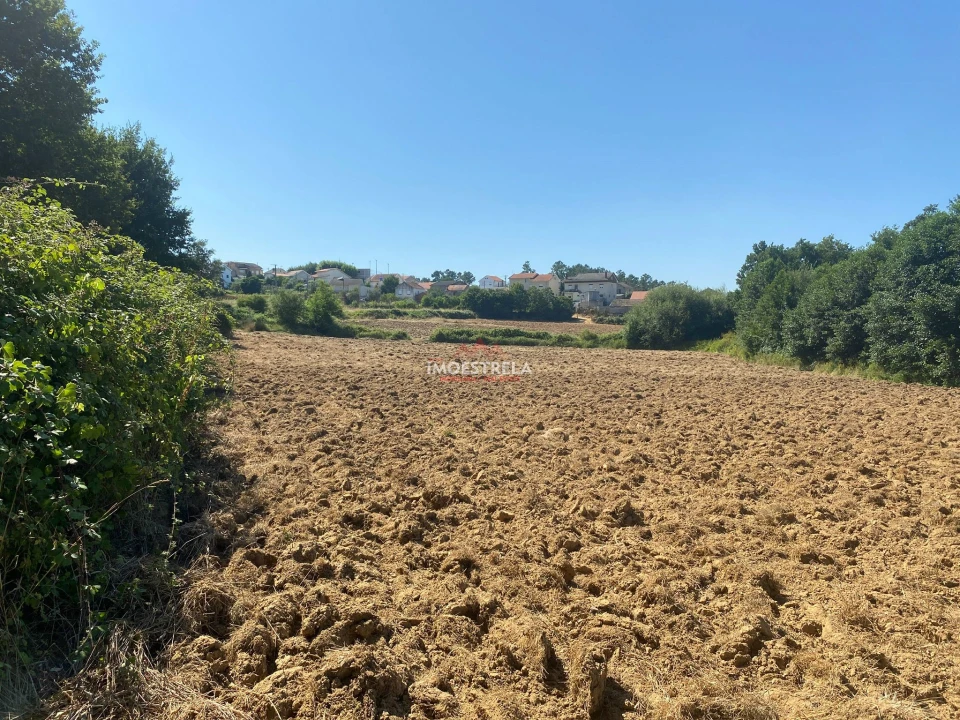 Moradia T4 para Venda em Tourais e Lajes Foto 16