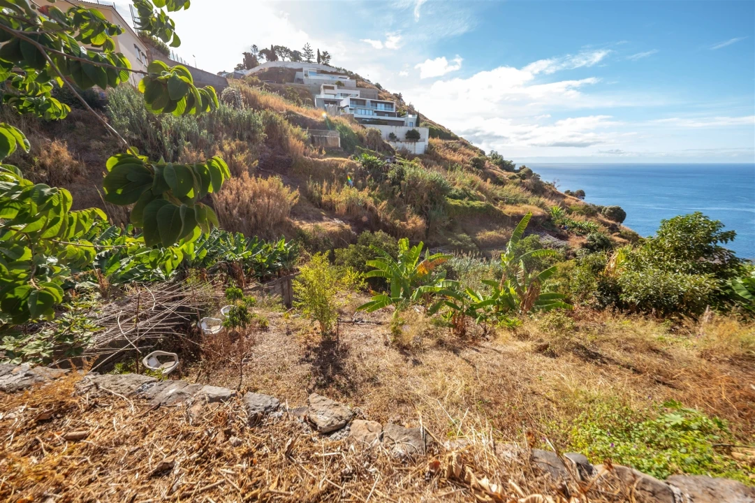 Terreno Misto para Venda em São Gonçalo Foto 10