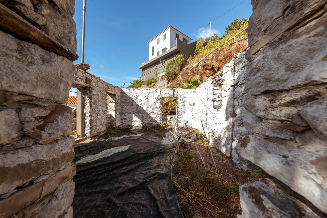 Terreno Misto para Venda em São Gonçalo Foto 4