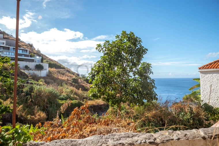 Terreno Misto para Venda em São Gonçalo Foto 7