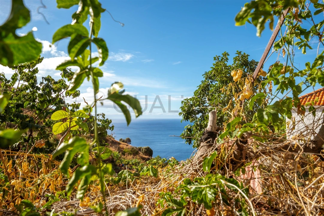 Terreno Misto para Venda em São Gonçalo Foto 8