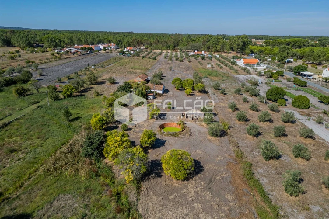 Moradia T6 para Venda em Grândola e Santa Margarida da Serra Foto 14