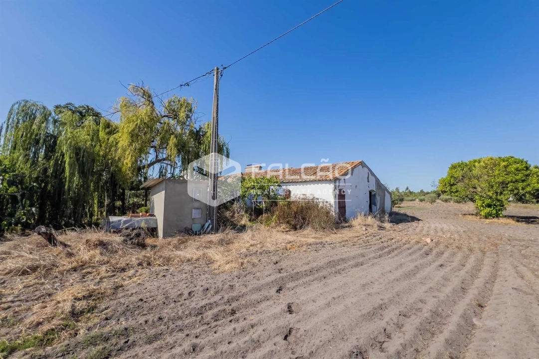 Moradia T6 para Venda em Grândola e Santa Margarida da Serra Foto 32