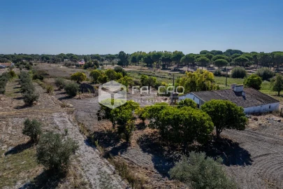 Moradia T6 para Venda em Grândola e Santa Margarida da Serra