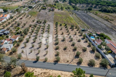 Moradia T6 para Venda em Grândola e Santa Margarida da Serra