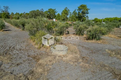 Moradia T6 para Venda em Grândola e Santa Margarida da Serra