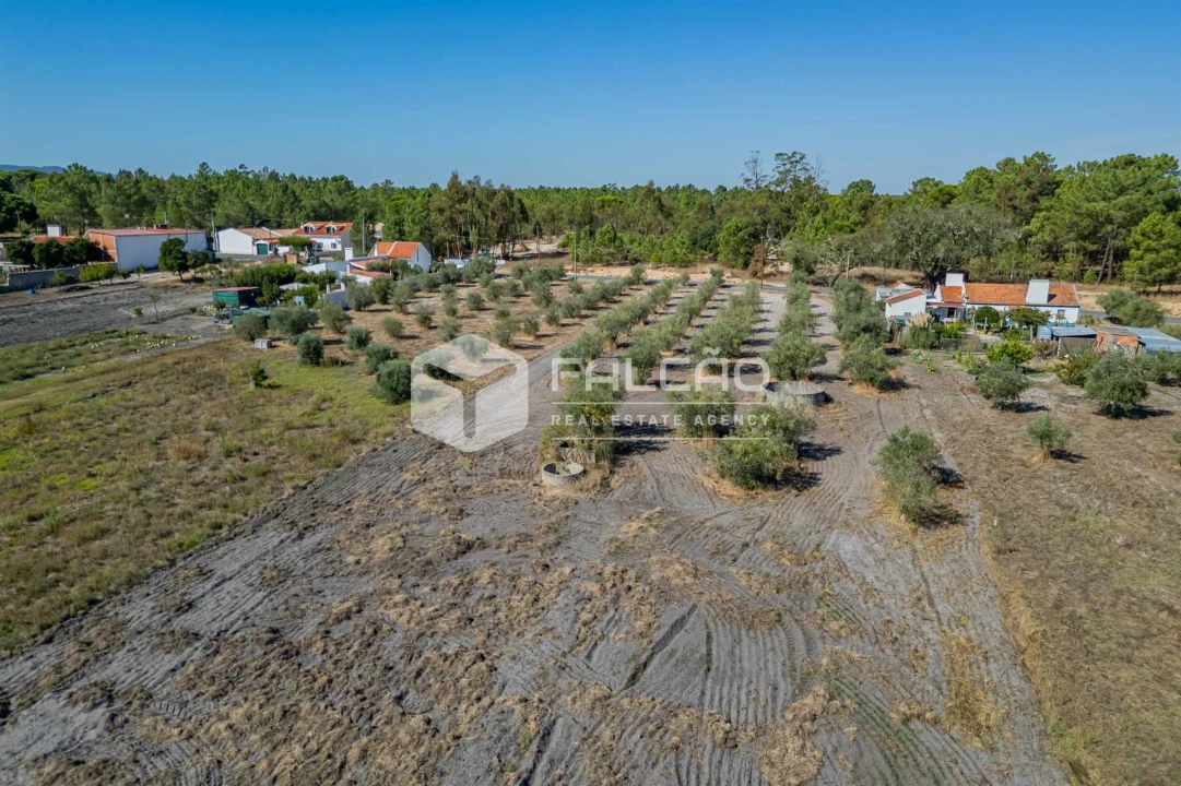 Moradia T6 para Venda em Grândola e Santa Margarida da Serra Foto 18