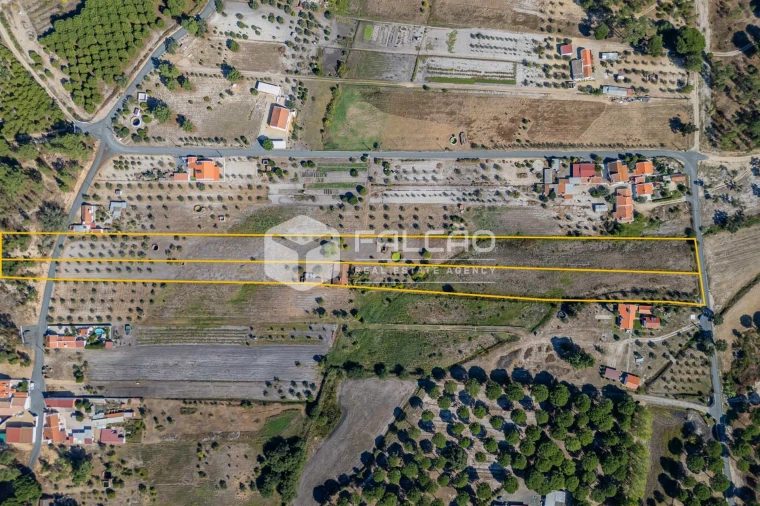 Moradia T6 para Venda em Grândola e Santa Margarida da Serra Foto 4