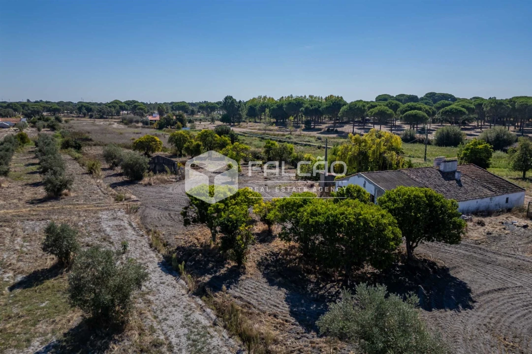 Moradia T6 para Venda em Grândola e Santa Margarida da Serra Foto 28
