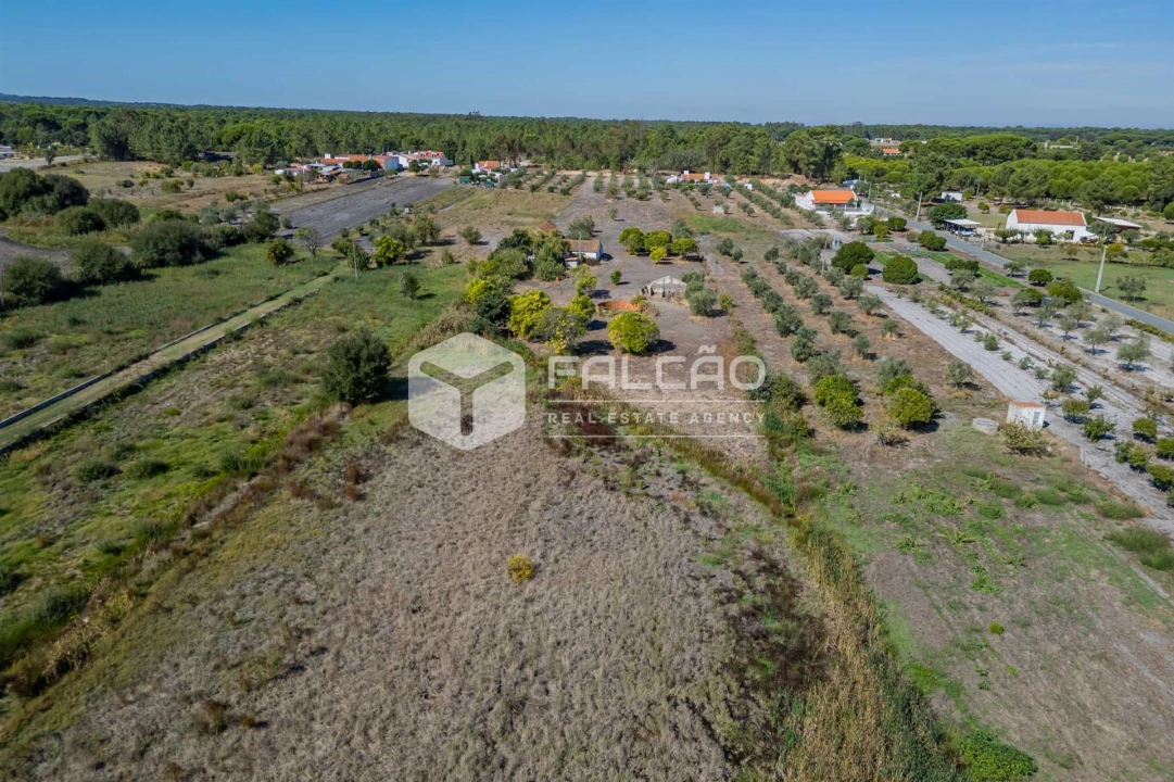 Moradia T6 para Venda em Grândola e Santa Margarida da Serra Foto 13