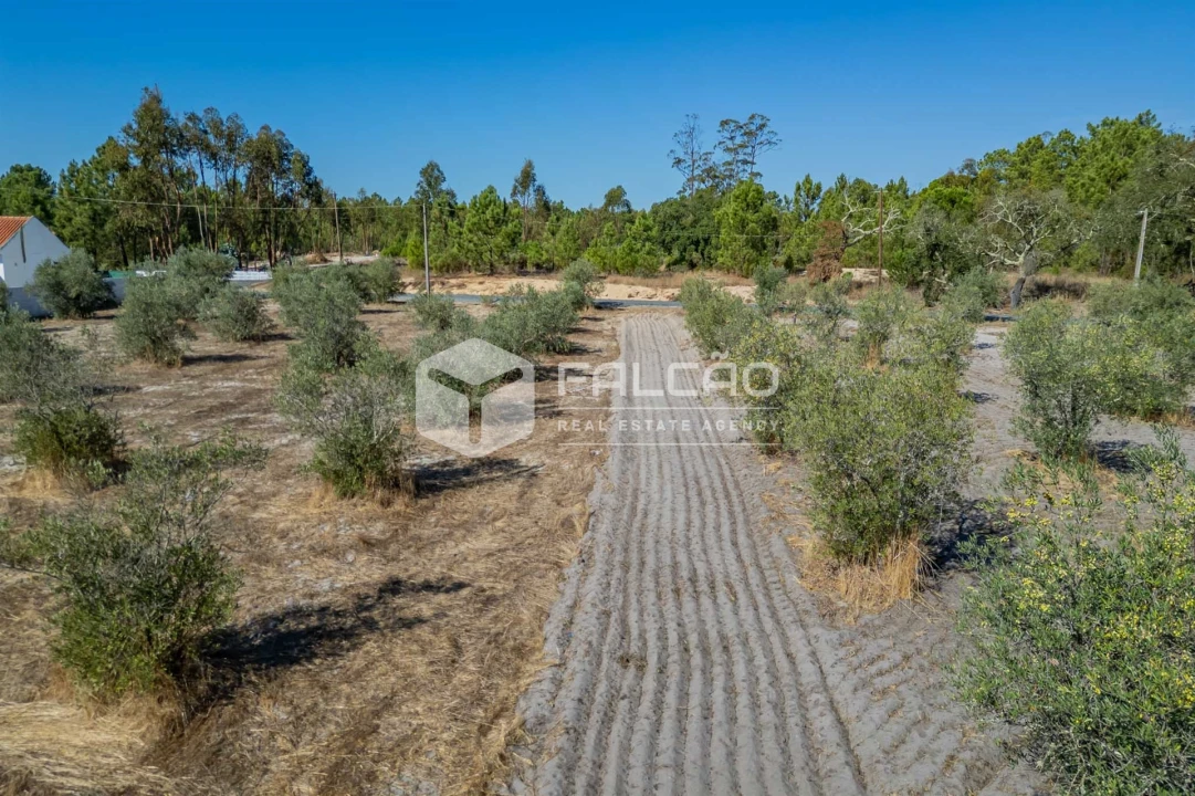 Moradia T6 para Venda em Grândola e Santa Margarida da Serra Foto 19