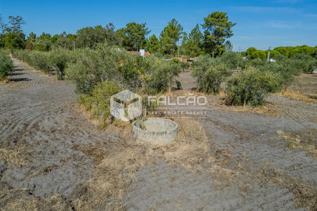 Moradia T6 para Venda em Grândola e Santa Margarida da Serra Foto 42