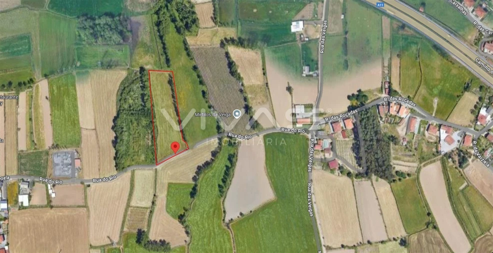 Terreno Agricola ou Rústico para Venda em Lamas