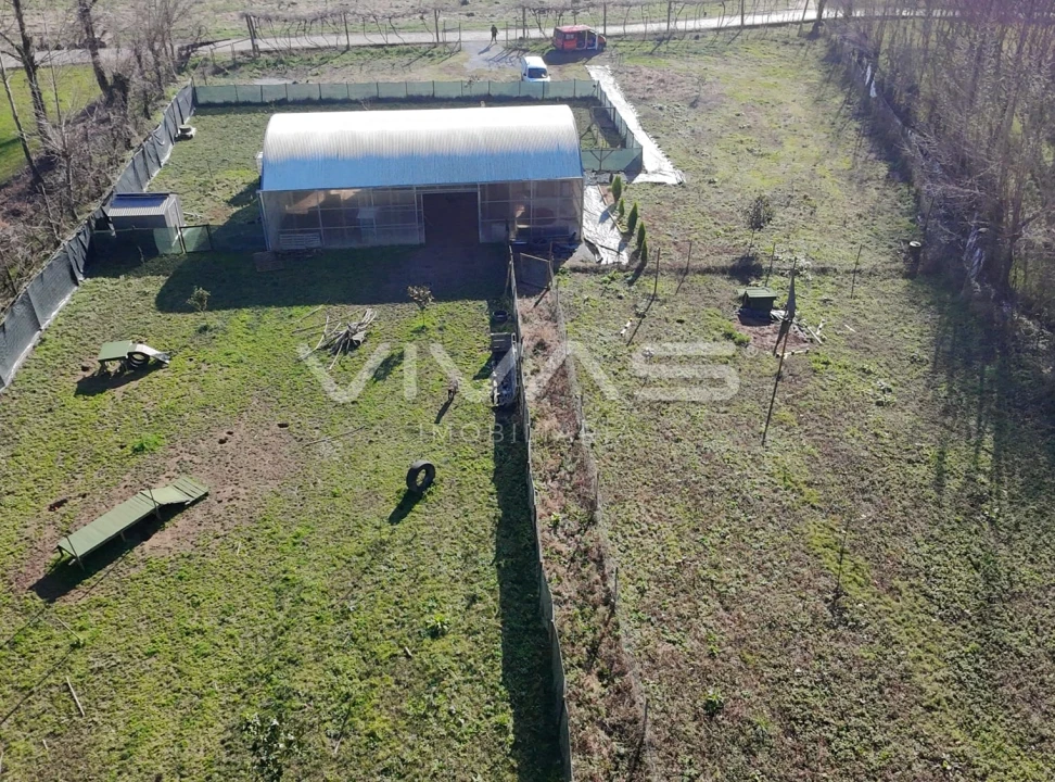 Terreno Agricola ou Rústico para Venda em Lamas Foto 2