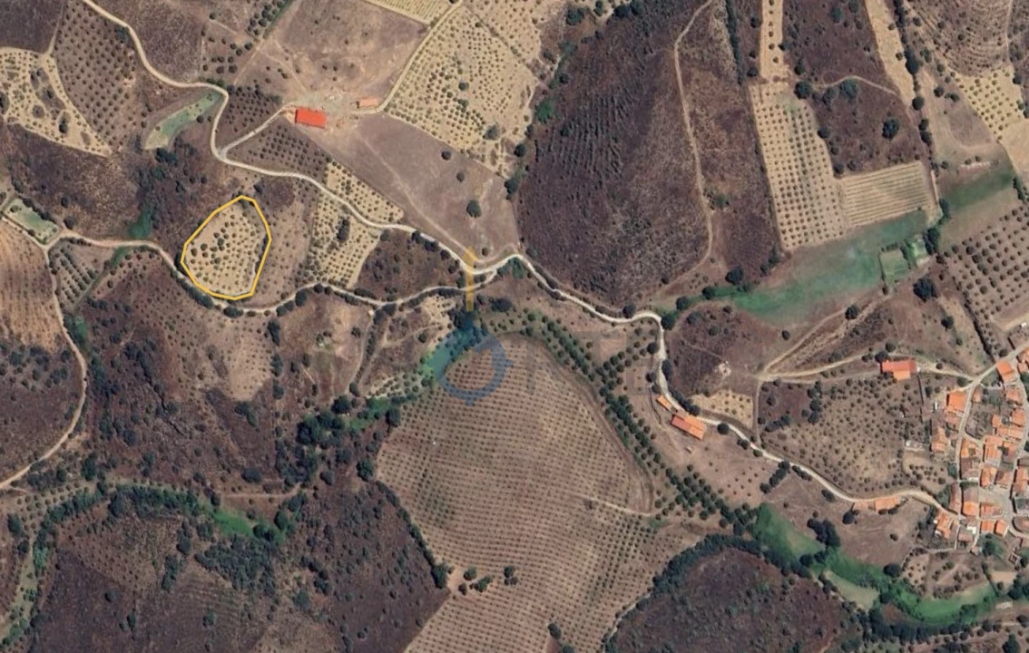 Terreno Agricola ou Rústico para Venda em Alfandega da Fe Foto 2