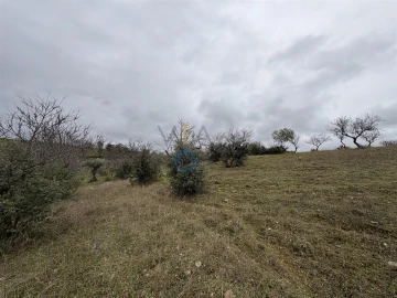 Terreno Agricola ou Rústico para Venda em Alfandega da Fe