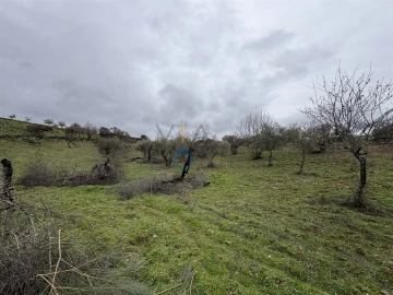 Terreno Agricola ou Rústico para Venda em Alfandega da Fe