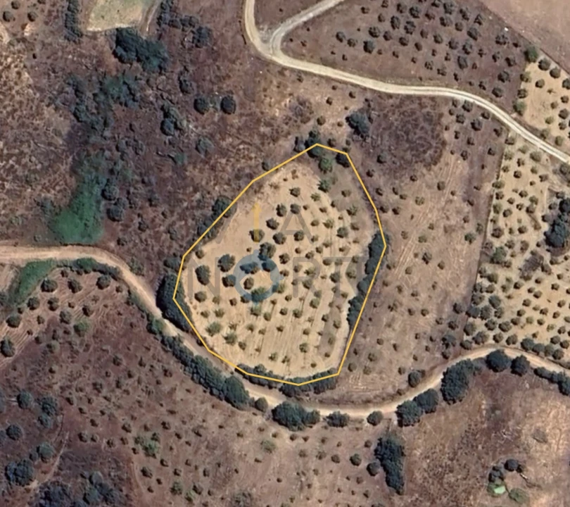 Terreno Agricola ou Rústico para Venda em Alfandega da Fe Foto 1