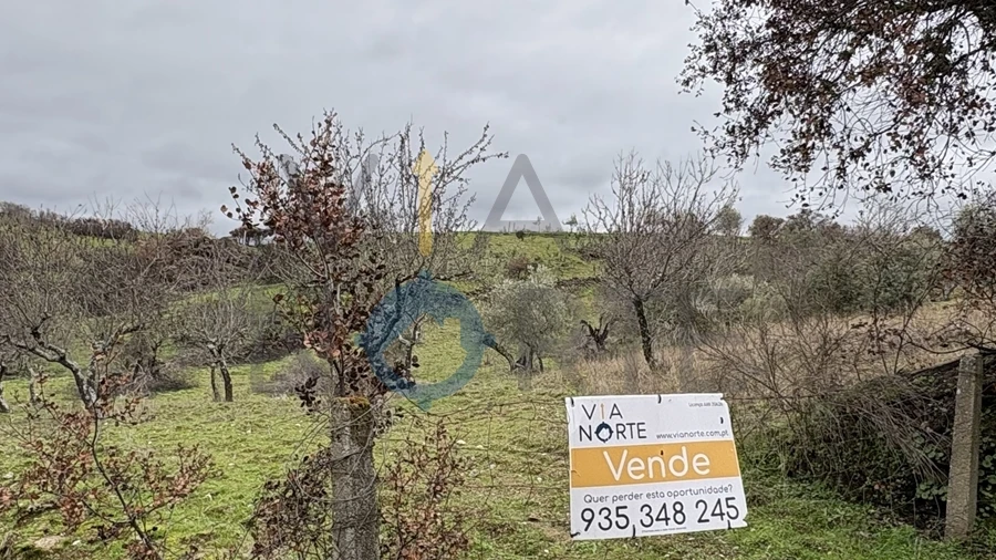 Terreno Agricola ou Rústico para Venda em Alfandega da Fe