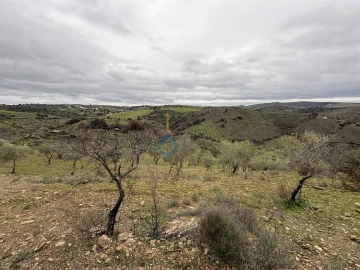 Terreno Agricola ou Rústico para Venda em Alfandega da Fe