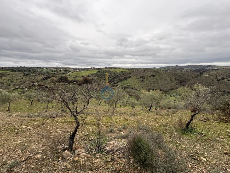 Terreno Agricola ou Rústico para Venda em Alfandega da Fe Foto 1
