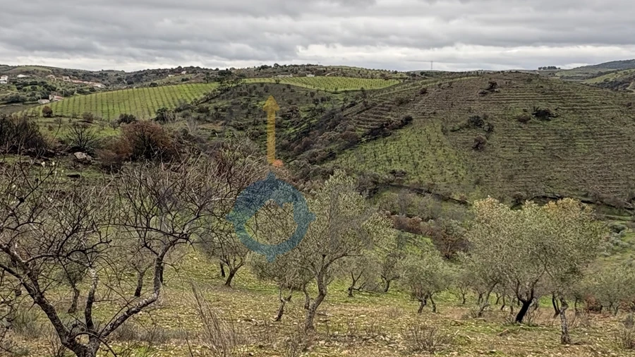 Terreno Agricola ou Rústico para Venda em Alfandega da Fe